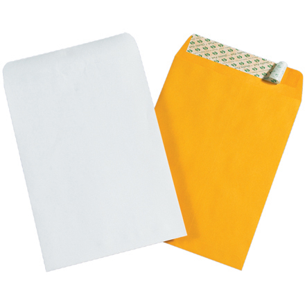 6 x 9" White Self-Seal Envelopes